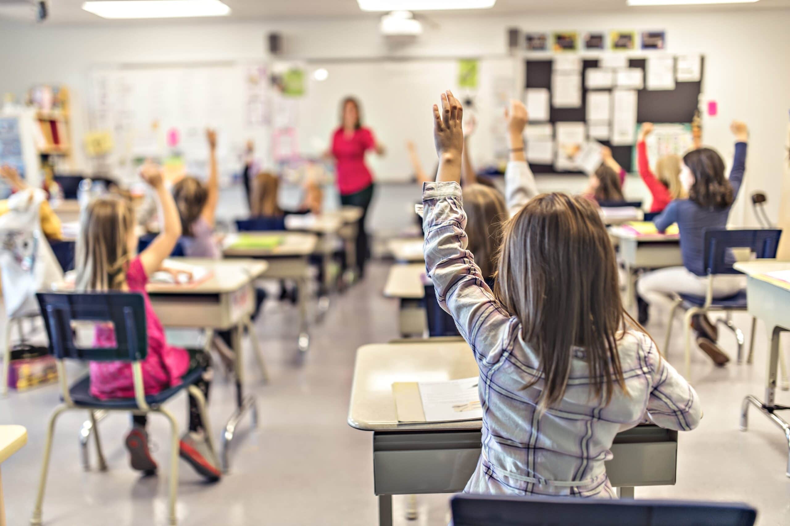 educação financeira nas escolas